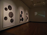 fader installation view
